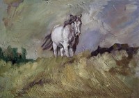 Bez tytułu 2009 olej na płótnie 50 x 70 cm