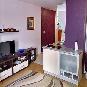 Apartament 110