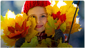 Autumn colours 